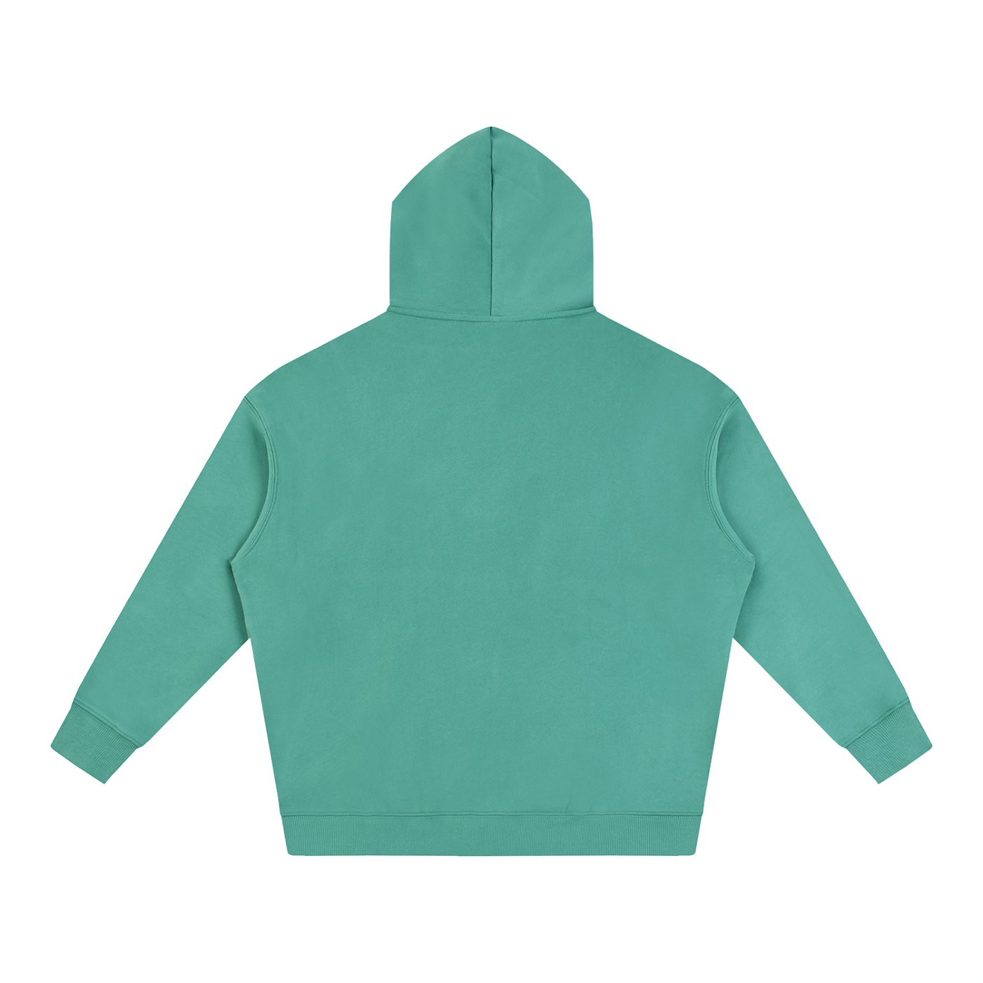 TYIWWA CLASSIC NO BACK LOGO Oversize Fleeced Hoodie